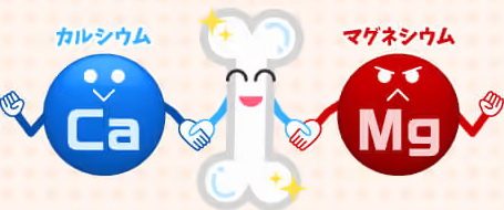 カルシュム、マグネシウム合体
アフリエイト広告を利用してます
