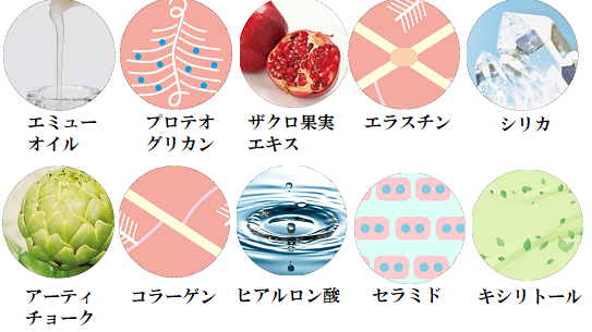 エミューの雫オールインワンゲルのうる・つや・はり肌へ
アフリエイト広告を利用して