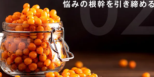 すまいりんシーベリー
アフリエイト広告を利用