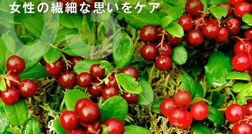 すまいりんクランベリー
アフリエイト広告を利用