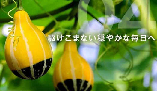 すまいりんペポカボチャ種子
アフリエイト広告を利用