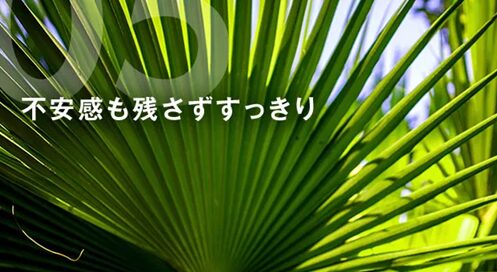 すまいりんノコギリヤシ
アフリエイト広告を利用
