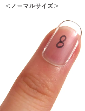 ミチネイルノーマルサイズ見本
アフリエイト広告を利用してます。