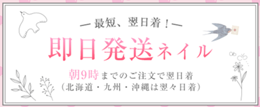 ミチネイル即日発送ネイル
アフリエイト広告を利用してます。
