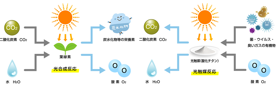 ブルーデオ光除菌花粉対策
アフリエイト広告を利用してます。